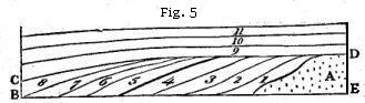 Figure 5 - a bank where the surface is nearly level